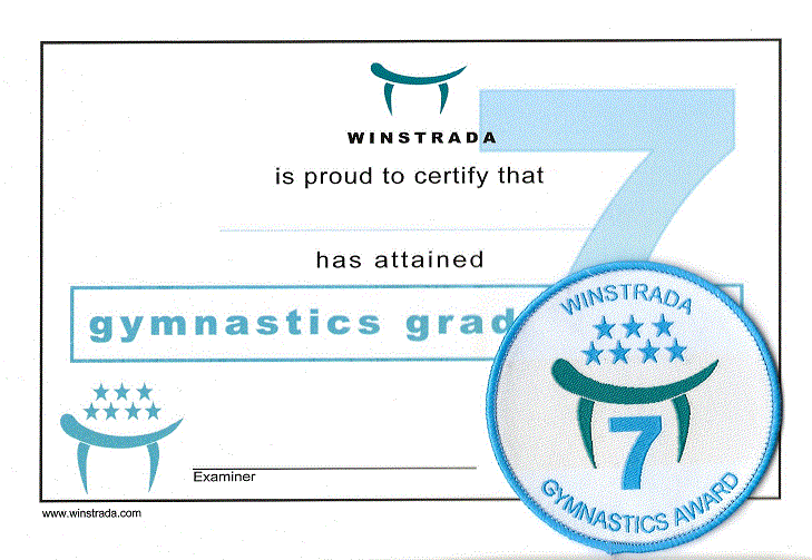 Gymnastics Award - Grade 7
