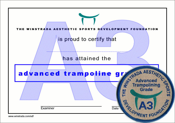 Trampolining Award - Grade A3
